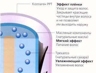 Во время процесса ламинирования Во время процесса ламинирования