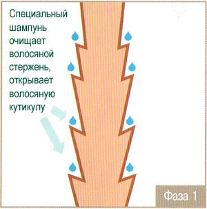Первая фаза завивки волос в салоне красоты Wella Элиза